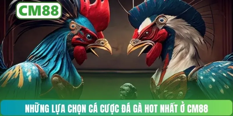 Những lựa chọn cá cược đá gà hot nhất ở CM88
