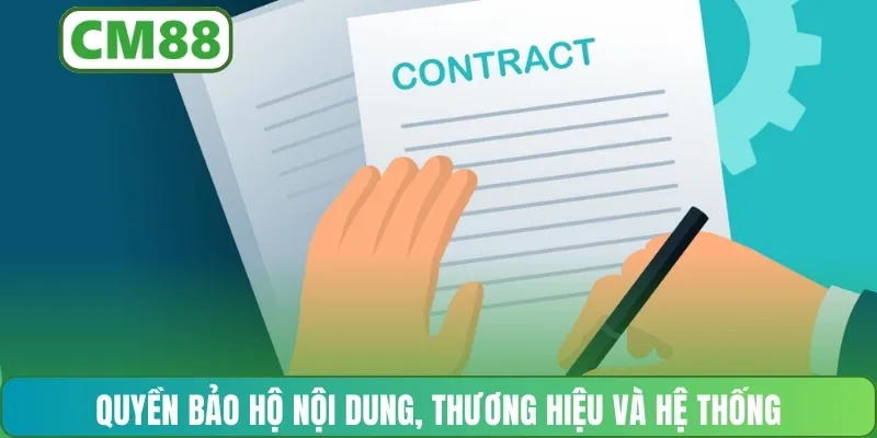 Quyền bảo hộ nội dung, thương hiệu và hệ thống